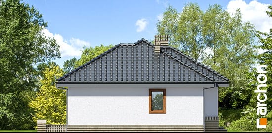 картинка 266.jpg