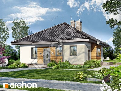 Проект дома ARCHON+  Дом в дерене